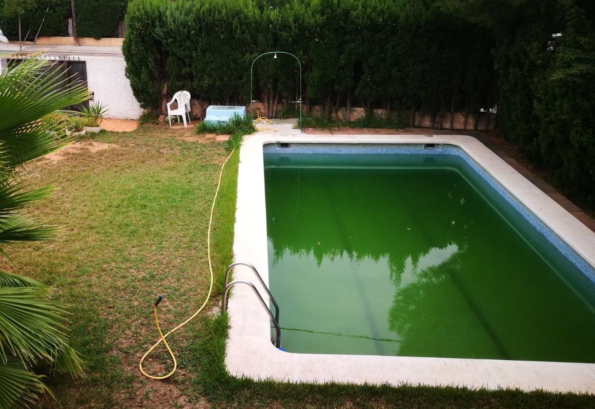 Rehabilitación de piscina en Benicasim